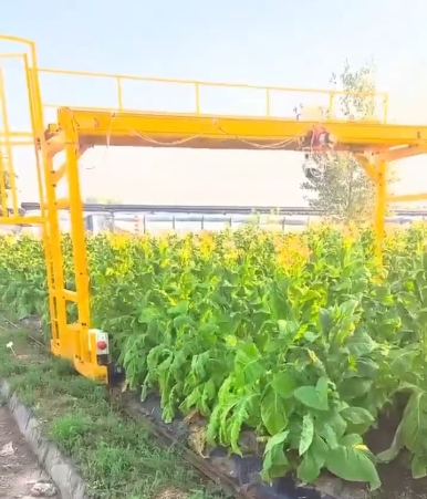 植物生長(zhǎng)檢測(cè)系統(tǒng)龍門吊